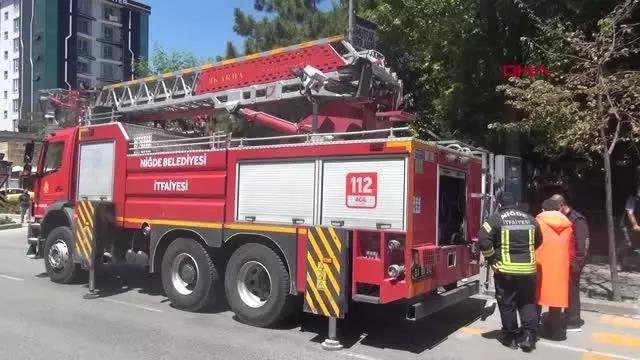 NİĞDE AĞACA OĞUL VEREN ARILAR İÇİN SEFERBER OLDULAR