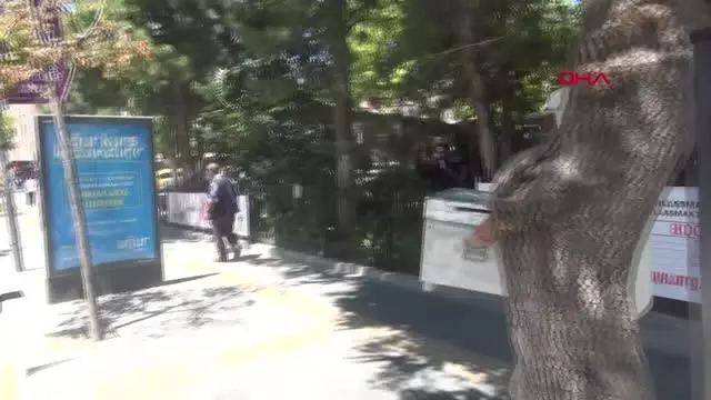 NİĞDE AĞACA OĞUL VEREN ARILAR İÇİN SEFERBER OLDULAR