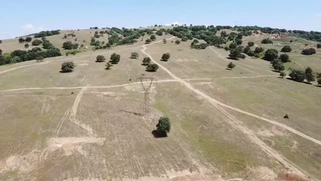 Söğüt Altın Madeni Projesi'nde hedef 2022 yılının sonunda ilk altını dökmek Söğüt Altın Madeni Projesi'nde hedef 2022 yılının sonunda ilk altını dökmek