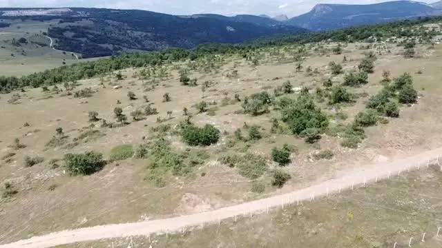 Söğüt Altın Madeni Projesi'nde hedef 2022 yılının sonunda ilk altını dökmek