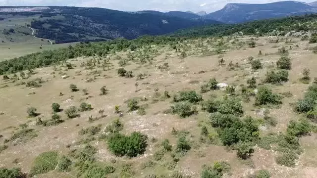 Söğüt Altın Madeni Projesi'nde hedef 2022 yılının sonunda ilk altını dökmek