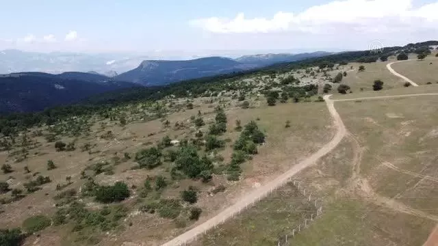 Söğüt Altın Madeni Projesi'nde hedef 2022 yılının sonunda ilk altını dökmek
