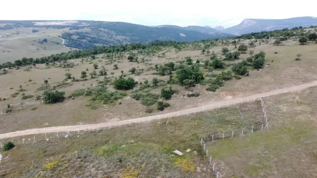 Söğüt Altın Madeni Projesi'nde hedef 2022 yılının sonunda ilk altını dökmek