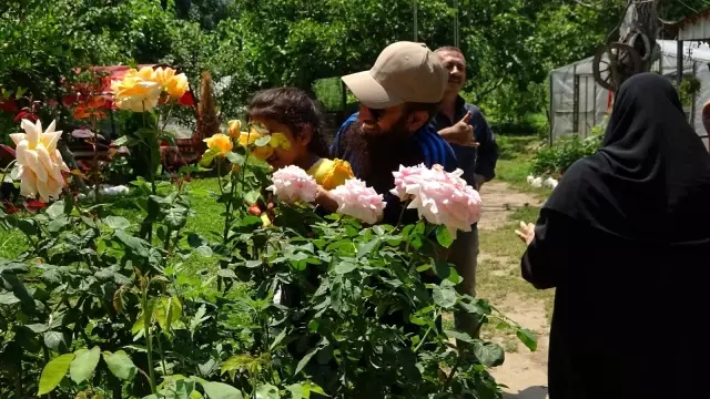 Turistler meyveleri dalından kendileri toplamak için para ödüyor