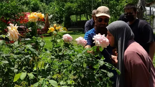 Turistler meyveleri dalından kendileri toplamak için para ödüyor
