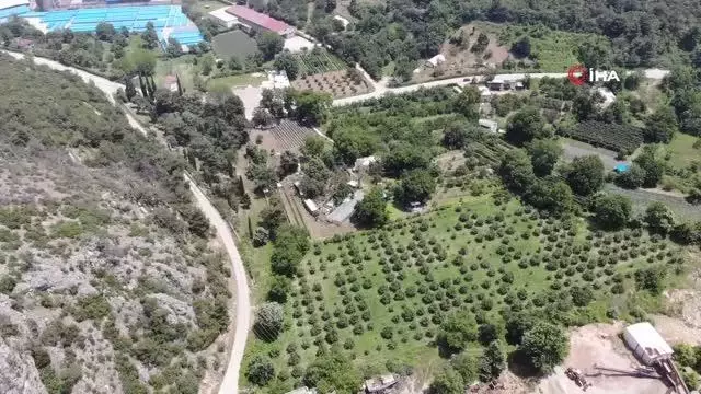 Turistler meyveleri dalından kendileri toplamak için para ödüyor