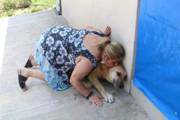 UYUTULACAK KÖPEK, 5 AYLIK BAKIMLA SAĞLIĞINA KAVUŞTU