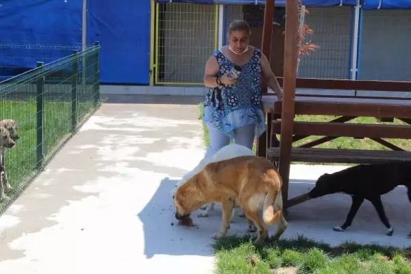 UYUTULACAK KÖPEK, 5 AYLIK BAKIMLA SAĞLIĞINA KAVUŞTU