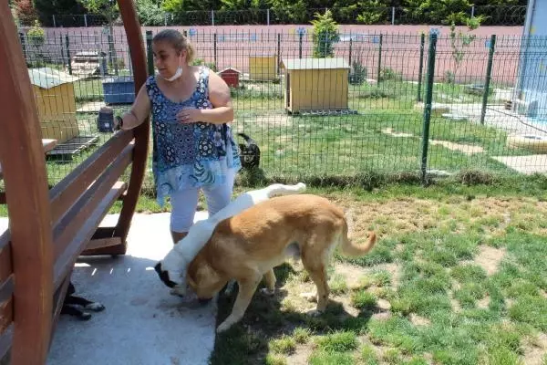 UYUTULACAK KÖPEK, 5 AYLIK BAKIMLA SAĞLIĞINA KAVUŞTU