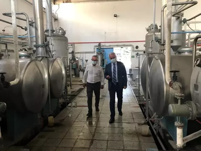 Vali Seymenoğlu: 'Toz gül suyu Isparta gülünün marka değerine katkı sunacak'