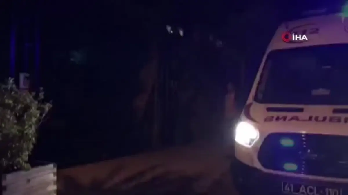 Ağaca çıkmak için kullandığı merdiven sonu oldu