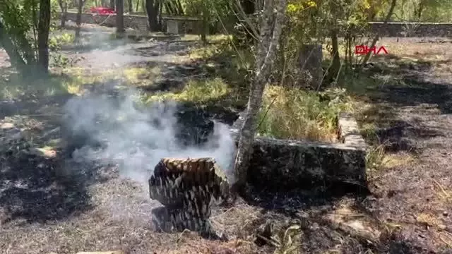 Son dakika: AKSEKİ'DE MEZARLIKTA YANGIN