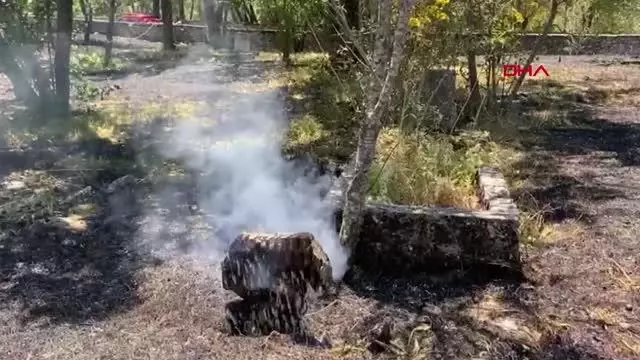 Son dakika: AKSEKİ'DE MEZARLIKTA YANGIN