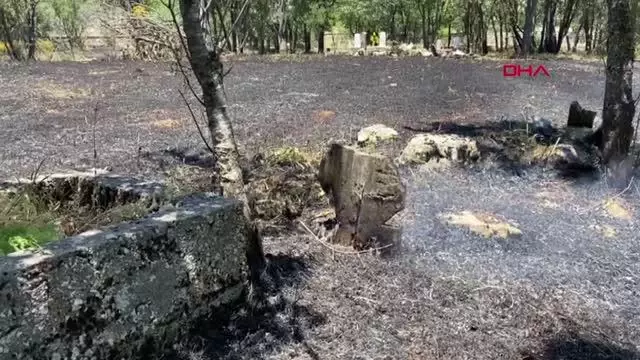 Son dakika: AKSEKİ'DE MEZARLIKTA YANGIN