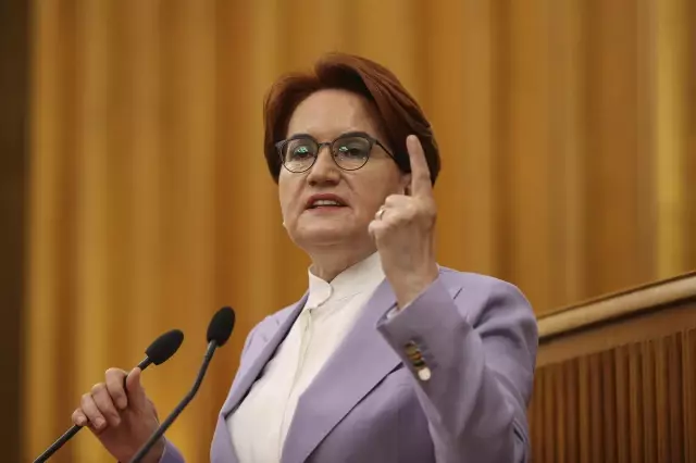 Akşener, İYİ Parti TBMM Grup Toplantısı'nda Artagan Projesi ni anlattı Açıklaması