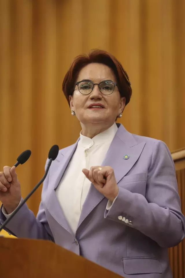 Akşener, İYİ Parti TBMM Grup Toplantısı'nda Artagan Projesi ni anlattı Açıklaması