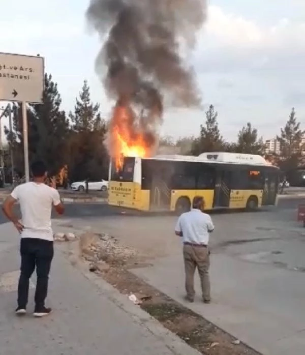 Diyarbakır'da belediye otobüsü alevlere teslim oldu