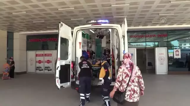 DÜZCE- Ağaçtan düşen kişi yaralandı