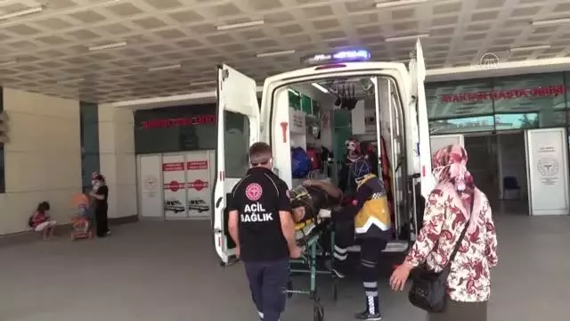 DÜZCE- Ağaçtan düşen kişi yaralandı