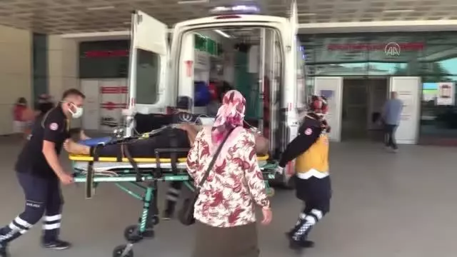 DÜZCE- Ağaçtan düşen kişi yaralandı