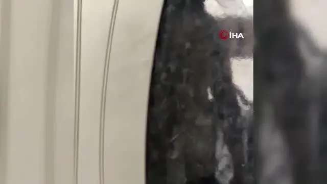 Esenyurt'ta gündüz vakti korku dolu anları