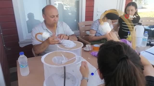 hayvanlardan insana gecen sark cibani artinca 2 14236330 o