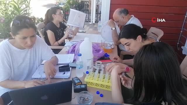 hayvanlardan insana gecen sark cibani artinca 3 14236330 o