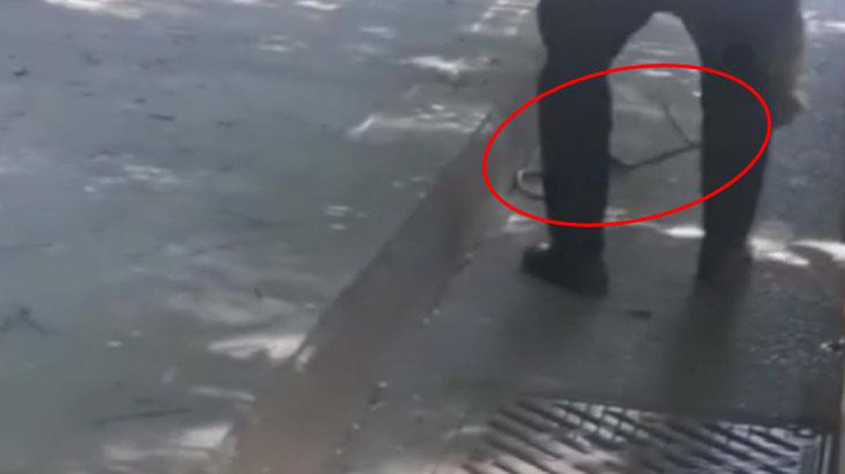 İETT otobüsünde panik! Kapıya sıkışan yılana şoför böyle müdahale etti