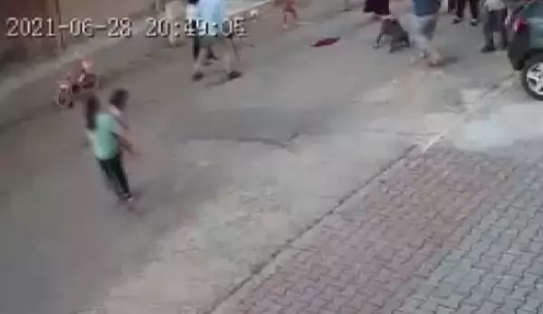 Kartal'da pitbull dehşetini yaşayan çocuğun annesi konuştu