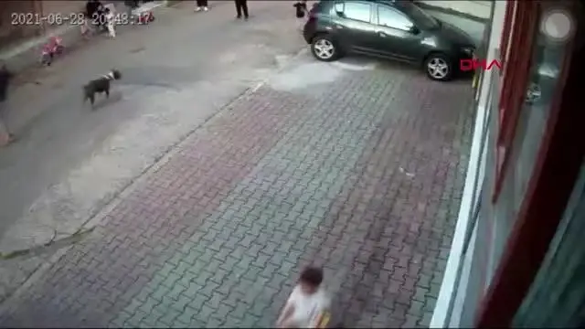 Kartal'da pitbull dehşetini yaşayan çocuğun annesi konuştu