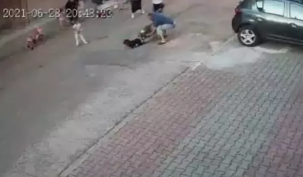 Kartal'da pitbull dehşetini yaşayan çocuğun annesi konuştu