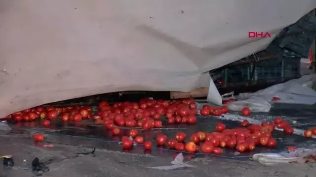 Eyüpsultan TEM Otoyolu'nda domates yüklü kamyonet devrildi: 3 yaralı