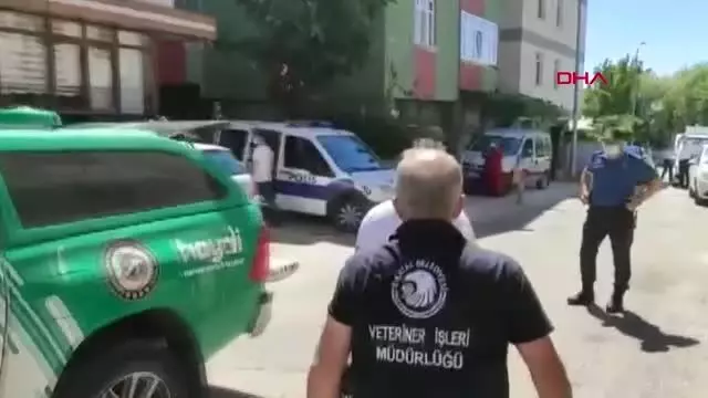 KARTAL'DA ÇOCUĞA SALDIRAN PİTBULLUN SAHİPLERİ GÖZALTINA ALINDI KARTAL'DA ÇOCUĞA SALDIRAN PİTBULLUN SAHİPLERİ GÖZALTINA ALINDI