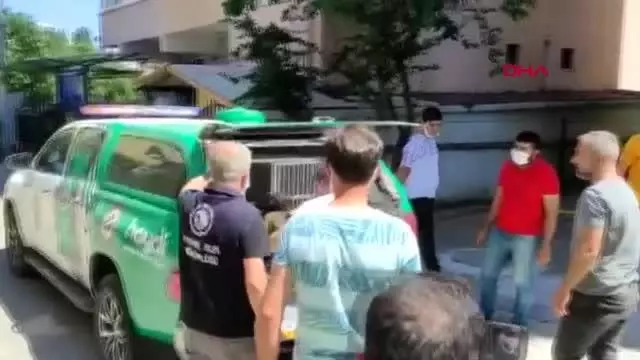 KARTAL'DA ÇOCUĞA SALDIRAN PİTBULLUN SAHİPLERİ GÖZALTINA ALINDI