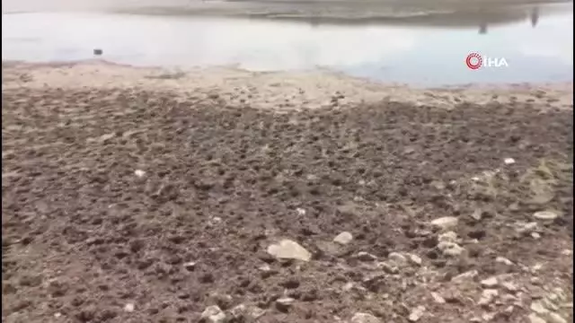 Kuraklık Bingöl'ün içme suyunu yüzde 32'i azalttı, başkan tasarruf çağrısında bulundu