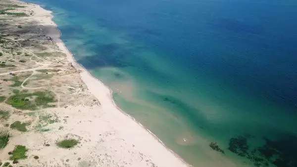 ŞİLE SAHİLİ'NDE 'ÇAMUR' İSYANI