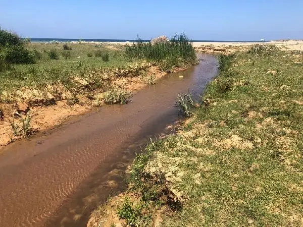 ŞİLE SAHİLİ'NDE 'ÇAMUR' İSYANI