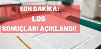 Son dakika: LGS sınav sonuçları erişime açıldı! 2021 LGS sınav sonuçlarına nasıl bakılır?