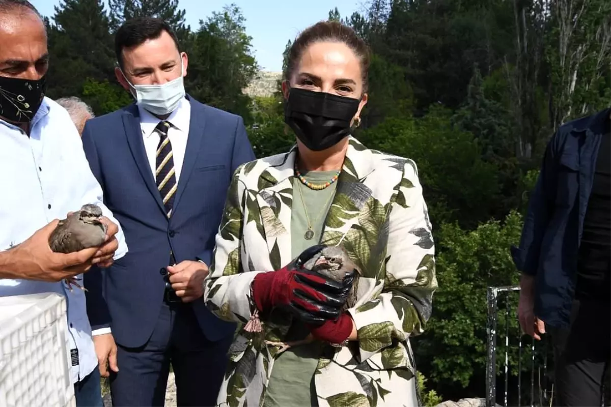 Vali Funda Kocabıyık 175 Adet Kekliği Tarihi Clandras Köprüsünde Doğaya Saldı