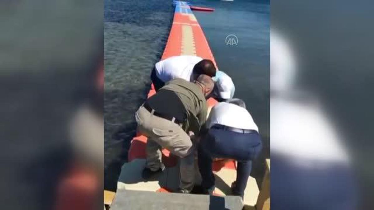 Yaralı bulunan caretta caretta müdahaleye rağmen kurtarılamadı