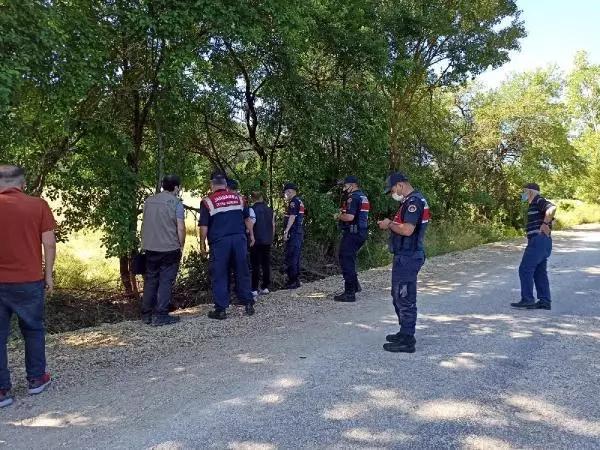 Yavru ayı, uyutularak tellerden kurtarıldı