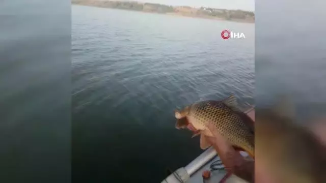 Büyükçekmece Gölü'nde 'yasadışı ticari balık avcılığı' denetimi