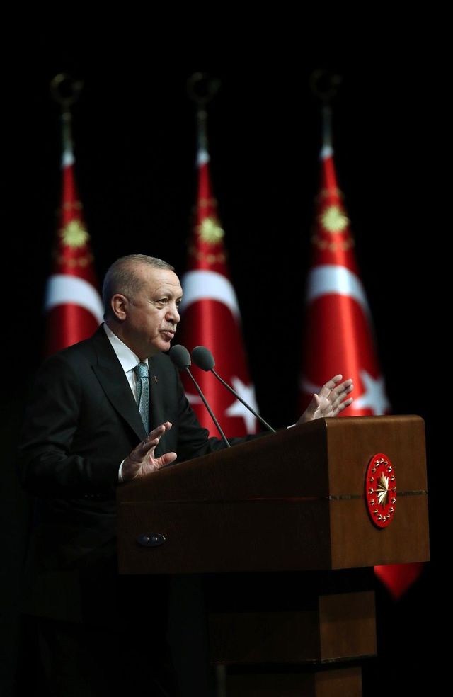 cumhurbaskani erdogan kadina karsi siddetle 25 14238327 o