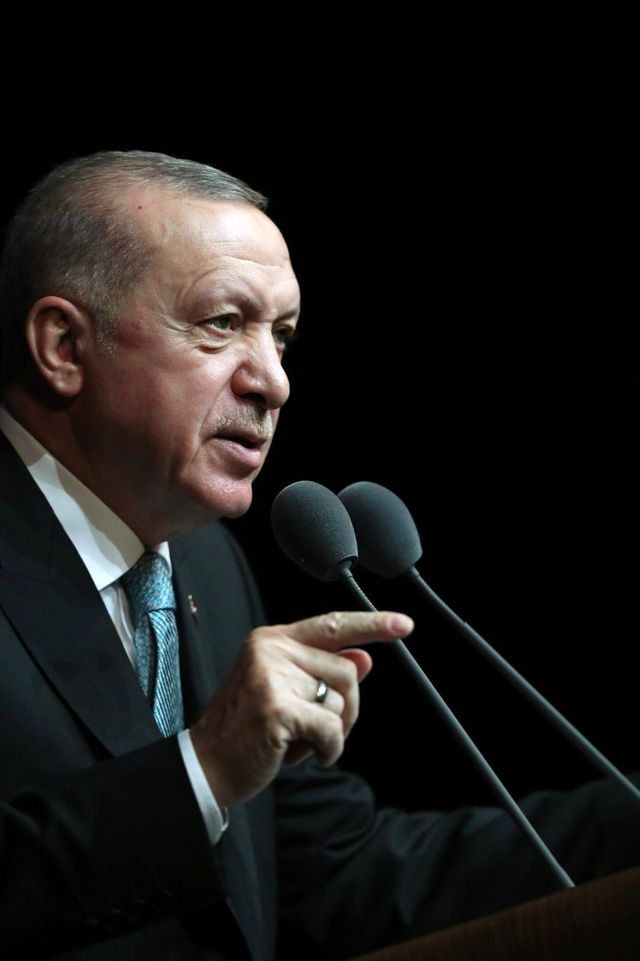 cumhurbaskani erdogan kadina karsi siddetle 26 14238327 o