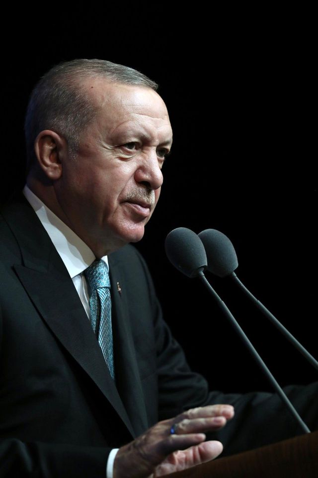 cumhurbaskani erdogan kadina karsi siddetle 27 14238327 o