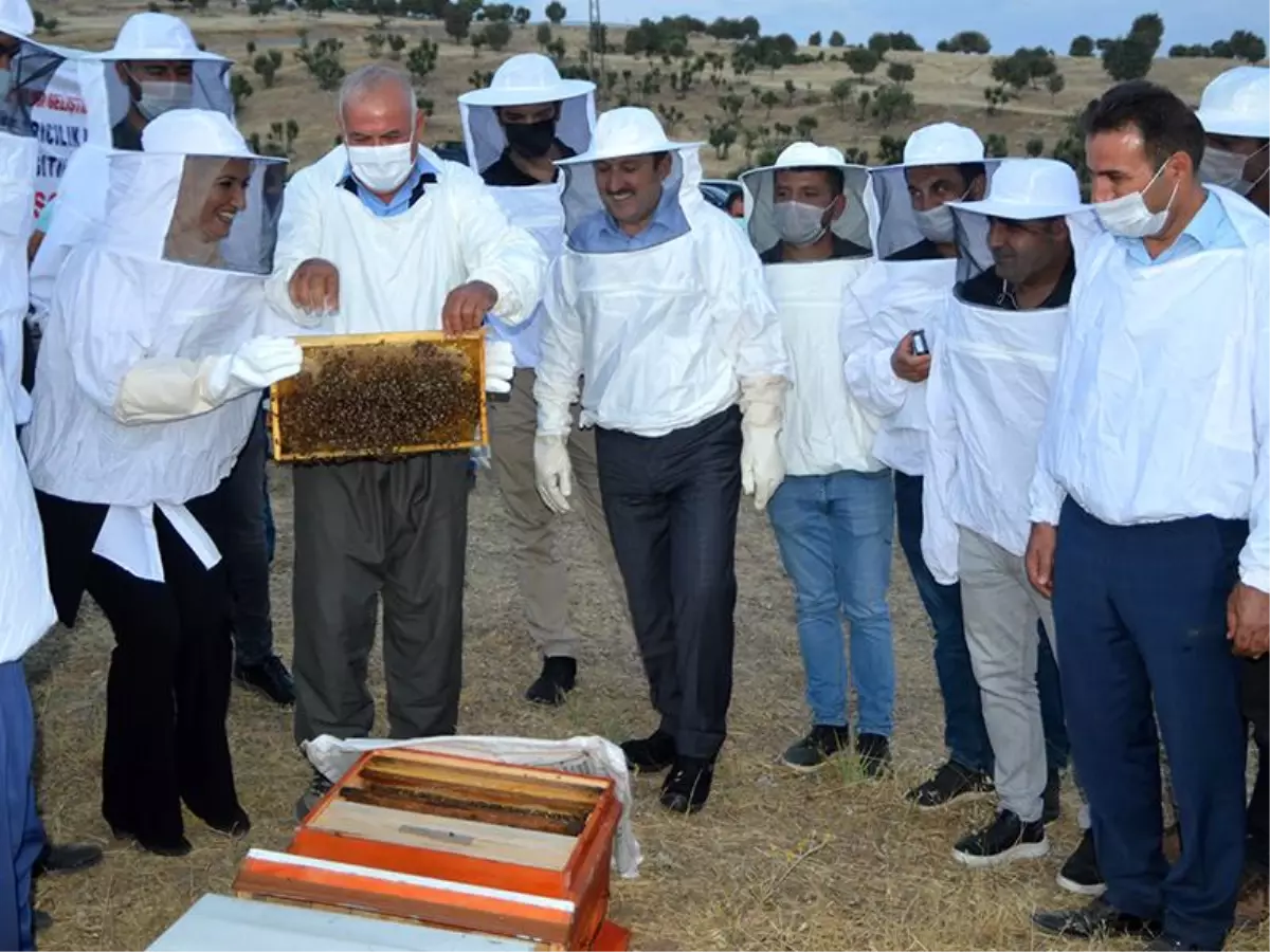 Arılı Kovanlar Üreticinin Yüzünü Güldürdü