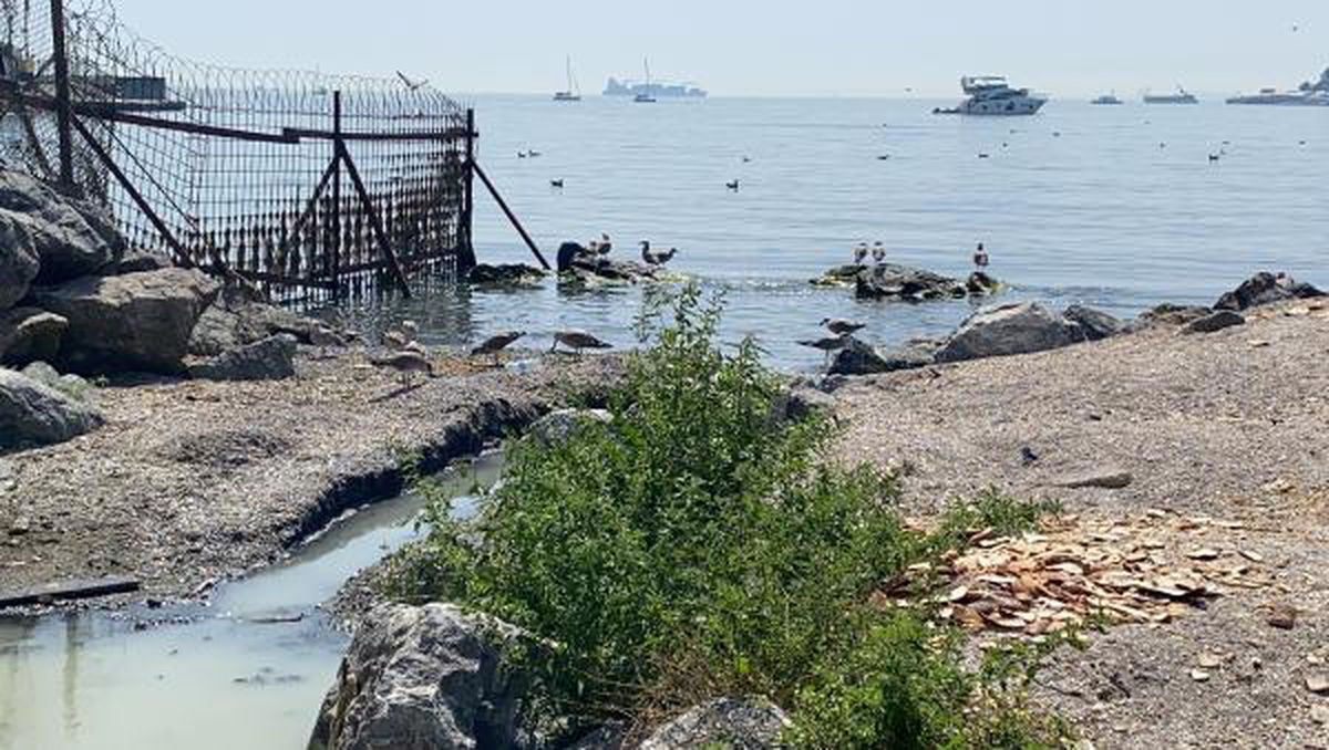 KADIKÖY'DE DENİZE AKAN 'RENKLİ SU' ENDİŞESİ