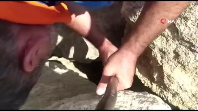 Kayalar arasına düşerek mahsur kalan keçiyi AFAD kurtardı
