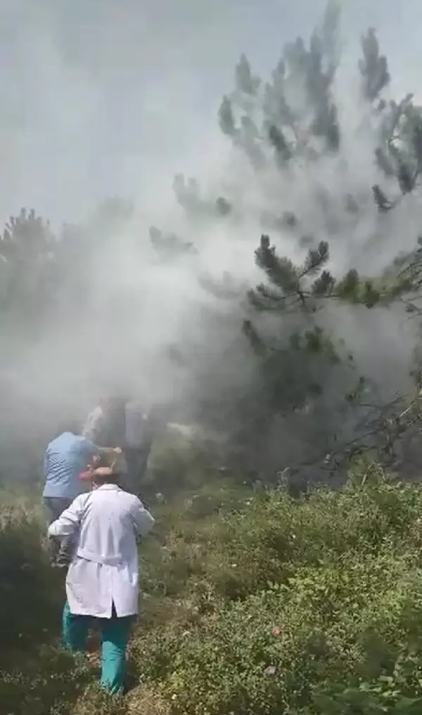 orman yanginina ilk mudahale saglik 2 14241296 o