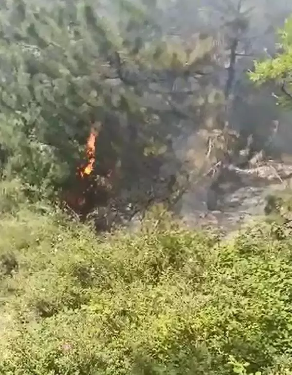 orman yanginina ilk mudahale saglik 4 14241296 o